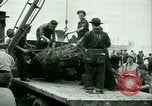 Image of German and Italian Prisoners of War United States USA, 1944, second 56 stock footage video 65675021173