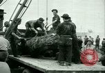 Image of German and Italian Prisoners of War United States USA, 1944, second 57 stock footage video 65675021173
