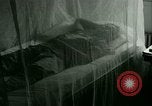 Immagine di Trattamento medico per il tedesco e italiano POWs in noi United States USA, 1944, secondo 53 filmato di repertorio 65675021175