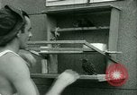 Immagine di Prigioniero di treni uccelli a noi operati POW Camp United States USA, 1944, secondo 21 filmato di repertorio 65675021176