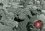 Immagine di Campagna tunisina Tunisia Africa del Nord, 1943, secondo 24 filmato di repertorio 65675021179