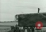 Immagine di Campagna tunisina Tunisia Africa del Nord, 1943, secondo 39 filmato di repertorio 65675021179