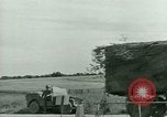 Immagine di Campagna tunisina Tunisia Africa del Nord, 1943, secondo 40 filmato di repertorio 65675021179