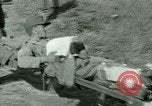 Immagine di Campagna tunisina Tunisia Africa del Nord, 1943, secondo 42 filmato di repertorio 65675021179