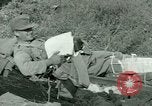 Immagine di Campagna tunisina Tunisia Africa del Nord, 1943, secondo 43 filmato di repertorio 65675021179
