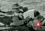 Immagine di Campagna tunisina Tunisia Africa del Nord, 1943, secondo 46 filmato di repertorio 65675021179