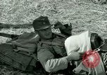 Immagine di Campagna tunisina Tunisia Africa del Nord, 1943, secondo 48 filmato di repertorio 65675021179