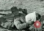Immagine di Campagna tunisina Tunisia Africa del Nord, 1943, secondo 49 filmato di repertorio 65675021179
