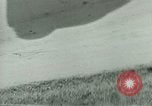 Immagine di Campagna tunisina Tunisia Africa del Nord, 1943, secondo 56 filmato di repertorio 65675021179