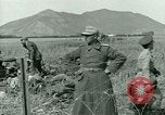 Immagine di Prigionieri tedeschi Tunisia Africa del Nord, 1943, secondo 40 filmato di repertorio 65675021181