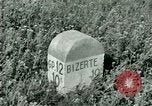Immagine di Campagna tunisina Tunisia Africa del Nord, 1943, secondo 39 filmato di repertorio 65675021182