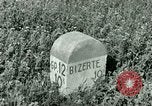 Immagine di Campagna tunisina Tunisia Africa del Nord, 1943, secondo 40 filmato di repertorio 65675021182