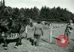 Image of German Prisoners of War France, 1944, second 50 stock footage video 65675021184