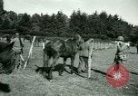 Image of German Prisoners of War France, 1944, second 52 stock footage video 65675021184