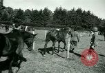 Image of German Prisoners of War France, 1944, second 53 stock footage video 65675021184
