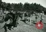 Image of German Prisoners of War France, 1944, second 54 stock footage video 65675021184