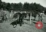 Image of German Prisoners of War France, 1944, second 55 stock footage video 65675021184