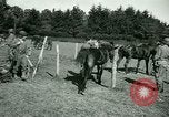 Image of German Prisoners of War France, 1944, second 56 stock footage video 65675021184