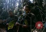 Image soldats assaut sur hill le Vietnam du Sud, 1967, de la seconde 40 séquences d'archives historiques vidéo 65675021187