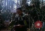 Image soldats assaut sur hill le Vietnam du Sud, 1967, de la seconde 45 séquences d'archives historiques vidéo 65675021187