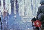 Image Troupes de US 503e Régiment d'infanterie aéroportée assault Hill 875 le Vietnam du Sud, 1967, de la seconde 31 séquences d'archives historiques vidéo 65675021188