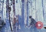 Image Troupes de US 503e Régiment d'infanterie aéroportée assault Hill 875 le Vietnam du Sud, 1967, de la seconde 40 séquences d'archives historiques vidéo 65675021188
