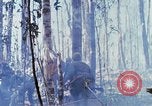 Image Troupes de US 503e Régiment d'infanterie aéroportée assault Hill 875 le Vietnam du Sud, 1967, de la seconde 41 séquences d'archives historiques vidéo 65675021188