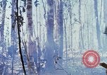 Image Troupes de US 503e Régiment d'infanterie aéroportée assault Hill 875 le Vietnam du Sud, 1967, de la seconde 44 séquences d'archives historiques vidéo 65675021188