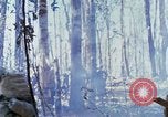 Image Troupes de US 503e Régiment d'infanterie aéroportée assault Hill 875 le Vietnam du Sud, 1967, de la seconde 47 séquences d'archives historiques vidéo 65675021188