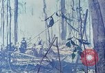 Image Troupes de US 503e Régiment d'infanterie aéroportée assault Hill 875 le Vietnam du Sud, 1967, de la seconde 53 séquences d'archives historiques vidéo 65675021188