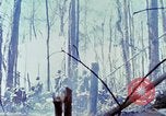 Image Troupes de US 503e Régiment d'infanterie aéroportée assault Hill 875 le Vietnam du Sud, 1967, de la seconde 61 séquences d'archives historiques vidéo 65675021188