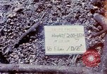 Standbild Soldaten tragen verletzt South Vietnam, 1967, aus Sekunde 3 historischem Filmmaterial Videoclip 65675021189