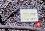 Standbild Soldaten tragen verletzt South Vietnam, 1967, aus Sekunde 6 historischem Filmmaterial Videoclip 65675021189