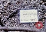 Standbild Soldaten tragen verletzt South Vietnam, 1967, aus Sekunde 7 historischem Filmmaterial Videoclip 65675021189