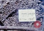 Standbild Soldaten tragen verletzt South Vietnam, 1967, aus Sekunde 9 historischem Filmmaterial Videoclip 65675021189