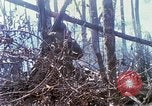 Standbild Soldaten tragen verletzt South Vietnam, 1967, aus Sekunde 10 historischem Filmmaterial Videoclip 65675021189