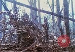 Standbild Soldaten tragen verletzt South Vietnam, 1967, aus Sekunde 11 historischem Filmmaterial Videoclip 65675021189