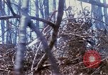 Standbild Soldaten tragen verletzt South Vietnam, 1967, aus Sekunde 14 historischem Filmmaterial Videoclip 65675021189