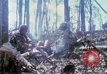 Standbild Soldaten tragen verletzt South Vietnam, 1967, aus Sekunde 20 historischem Filmmaterial Videoclip 65675021189