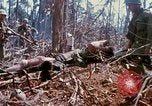 Standbild Soldaten tragen verletzt South Vietnam, 1967, aus Sekunde 29 historischem Filmmaterial Videoclip 65675021189