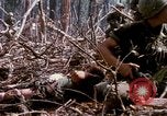 Standbild Soldaten tragen verletzt South Vietnam, 1967, aus Sekunde 37 historischem Filmmaterial Videoclip 65675021189