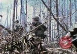 Standbild Soldaten tragen verletzt South Vietnam, 1967, aus Sekunde 44 historischem Filmmaterial Videoclip 65675021189
