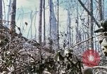 Standbild Soldaten tragen verletzt South Vietnam, 1967, aus Sekunde 47 historischem Filmmaterial Videoclip 65675021189