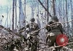 Standbild Soldaten tragen verletzt South Vietnam, 1967, aus Sekunde 52 historischem Filmmaterial Videoclip 65675021189