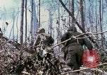Standbild Soldaten tragen verletzt South Vietnam, 1967, aus Sekunde 53 historischem Filmmaterial Videoclip 65675021189