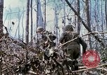Standbild Soldaten tragen verletzt South Vietnam, 1967, aus Sekunde 54 historischem Filmmaterial Videoclip 65675021189