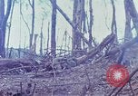 Image of Soldiers help injured South Vietnam, 1967, second 11 stock footage video 65675021190