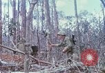 Image of Soldiers help injured South Vietnam, 1967, second 44 stock footage video 65675021190