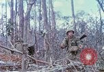 Image of Soldiers help injured South Vietnam, 1967, second 45 stock footage video 65675021190