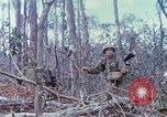 Image of Soldiers help injured South Vietnam, 1967, second 49 stock footage video 65675021190
